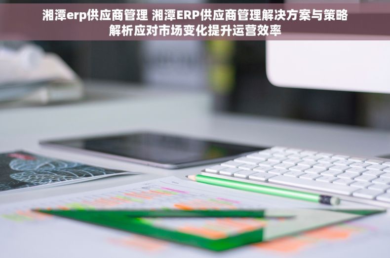 湘潭erp供应商管理 湘潭ERP供应商管理解决方案与策略解析应对市场变化提升运营效率
