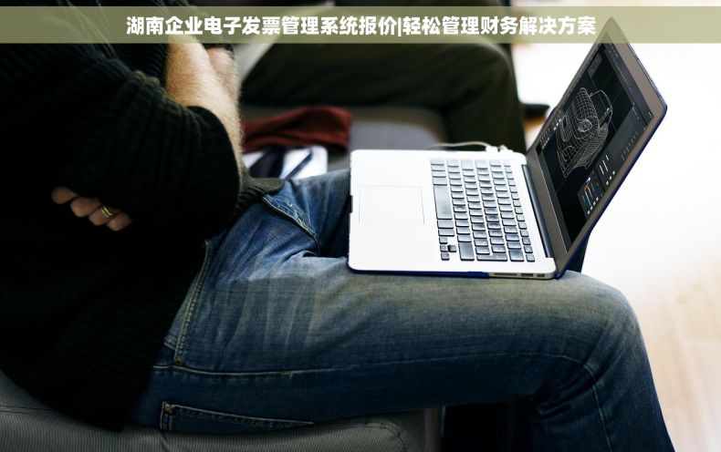 湖南企业电子发票管理系统报价|轻松管理财务解决方案