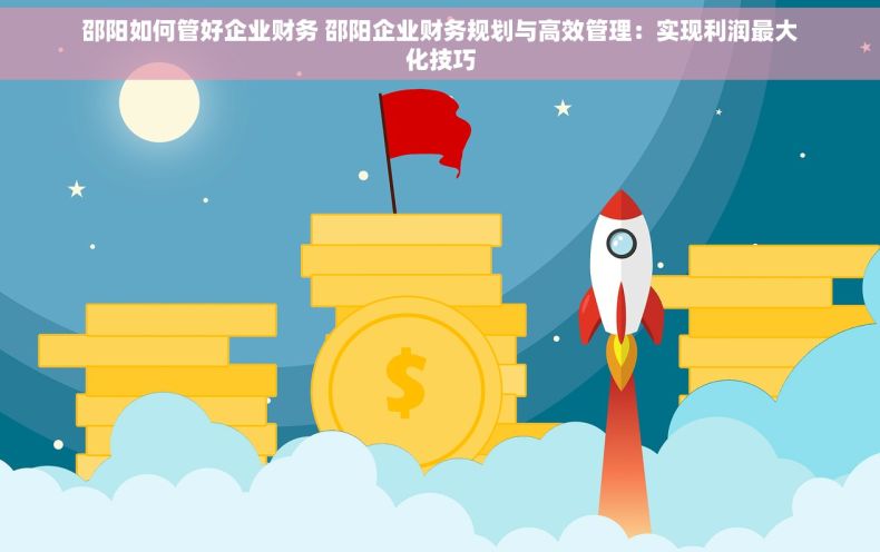 邵阳如何管好企业财务 邵阳企业财务规划与高效管理：实现利润最大化技巧