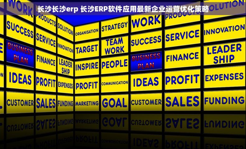 长沙长沙erp 长沙ERP软件应用最新企业运营优化策略