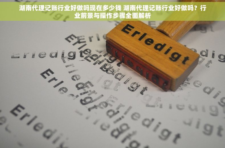 湖南代理记账行业好做吗现在多少钱 湖南代理记账行业好做吗？行业前景与操作步骤全面解析