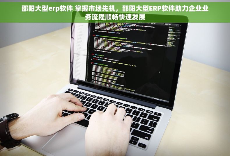 邵阳大型erp软件 掌握市场先机，邵阳大型ERP软件助力企业业务流程顺畅快速发展