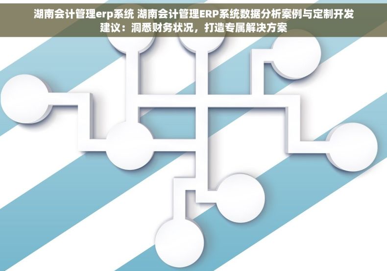 湖南会计管理erp系统 湖南会计管理ERP系统数据分析案例与定制开发建议：洞悉财务状况，打造专属解决方案