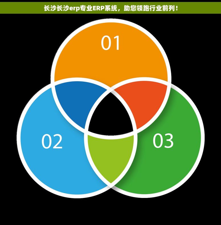 长沙长沙erp专业ERP系统，助您领跑行业前列！