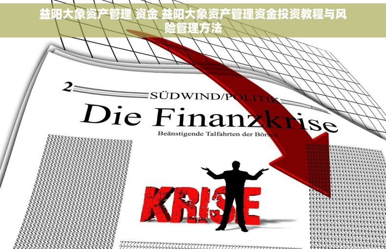 益阳大象资产管理 资金 益阳大象资产管理资金投资教程与风险管理方法