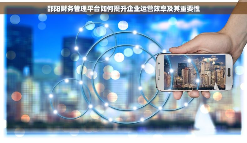邵阳财务管理平台如何提升企业运营效率及其重要性