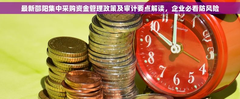 最新邵阳集中采购资金管理政策及审计要点解读，企业必看防风险