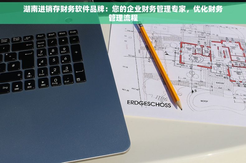 湖南进销存财务软件品牌：您的企业财务管理专家，优化财务管理流程
