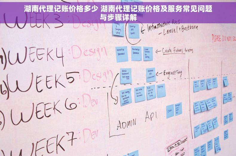 湖南代理记账价格多少 湖南代理记账价格及服务常见问题与步骤详解