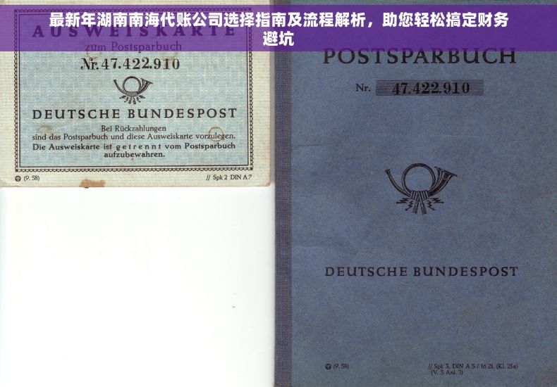 最新年湖南南海代账公司选择指南及流程解析，助您轻松搞定财务避坑