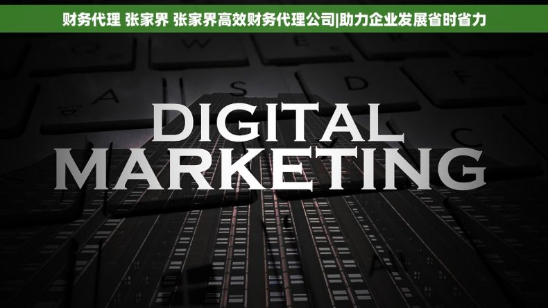 财务代理 张家界 张家界高效财务代理公司|助力企业发展省时省力