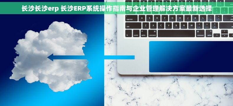 长沙长沙erp 长沙ERP系统操作指南与企业管理解决方案最新选择