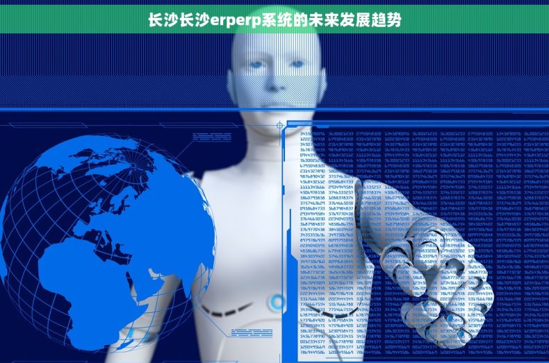 长沙长沙erperp系统的未来发展趋势