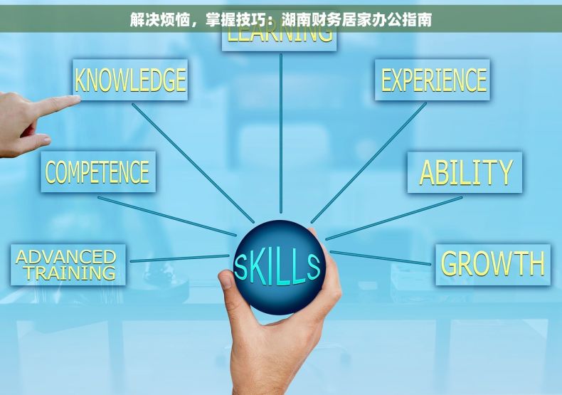 解决烦恼，掌握技巧：湖南财务居家办公指南