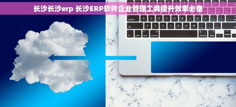 长沙长沙erp 长沙ERP软件企业管理工具提升效率必备