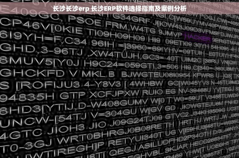 长沙长沙erp 长沙ERP软件选择指南及案例分析