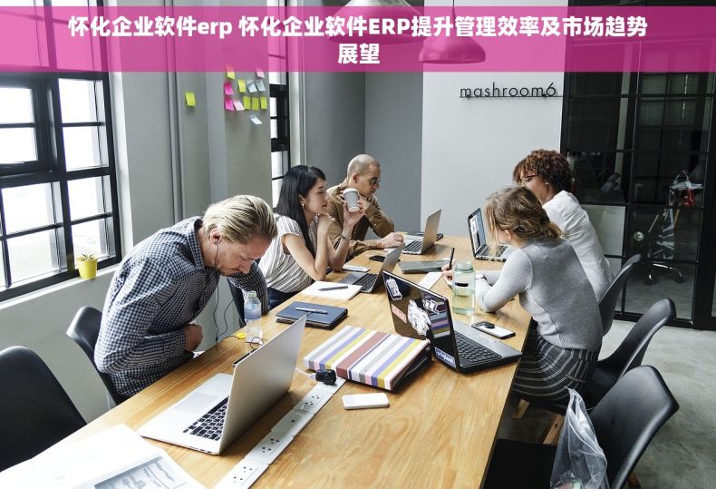怀化企业软件erp 怀化企业软件ERP提升管理效率及市场趋势展望