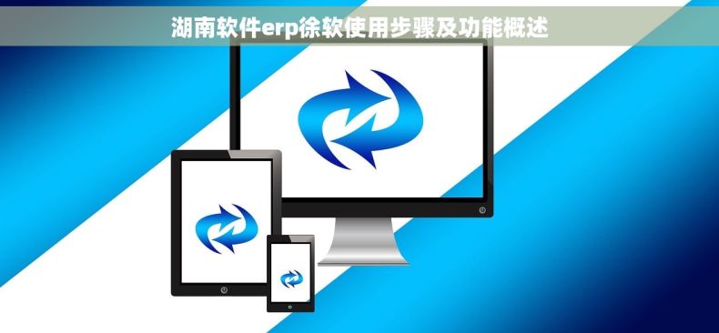 湖南软件erp徐软使用步骤及功能概述
