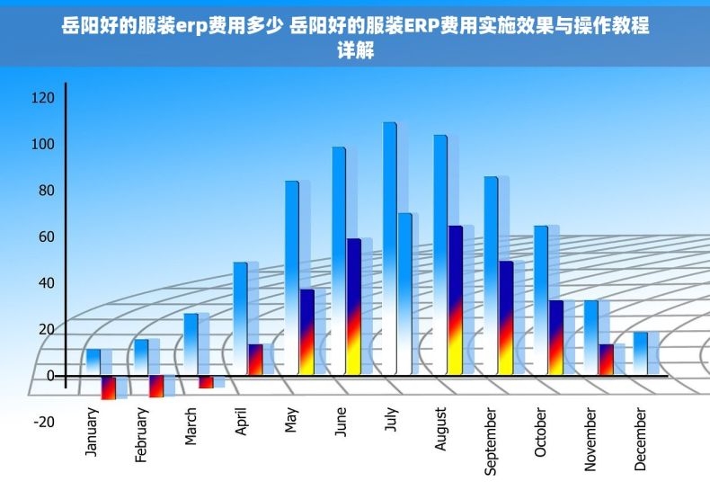 岳阳好的服装erp费用多少 岳阳好的服装ERP费用实施效果与操作教程详解
