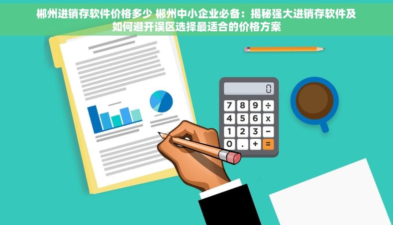 郴州进销存软件价格多少 郴州中小企业必备：揭秘强大进销存软件及如何避开误区选择最适合的价格方案