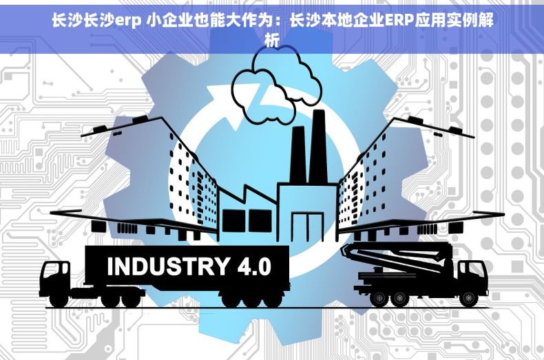 长沙长沙erp 小企业也能大作为：长沙本地企业ERP应用实例解析
