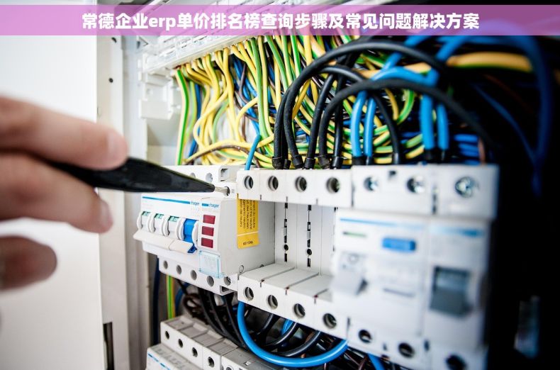 常德企业erp单价排名榜查询步骤及常见问题解决方案