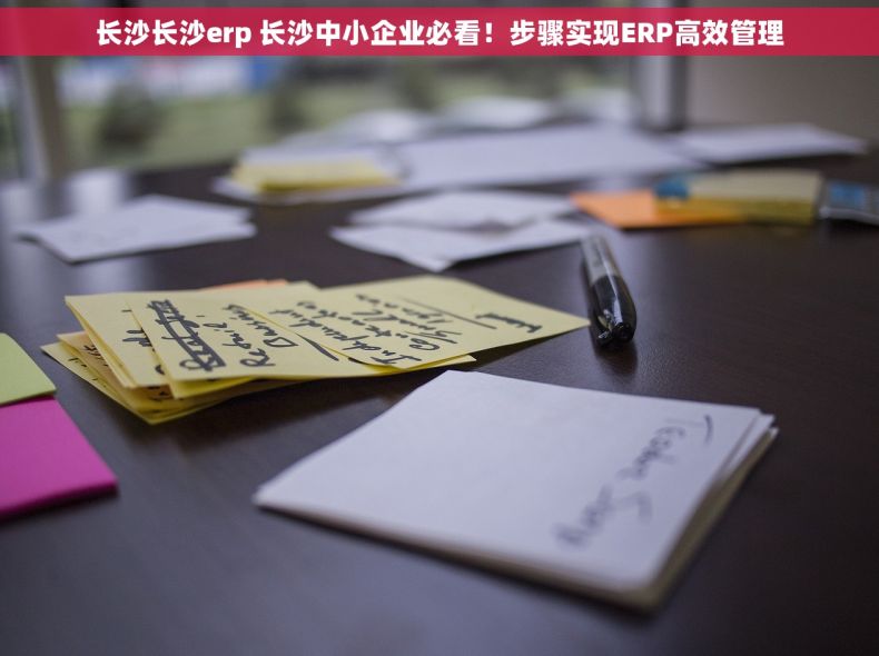 长沙长沙erp 长沙中小企业必看！步骤实现ERP高效管理