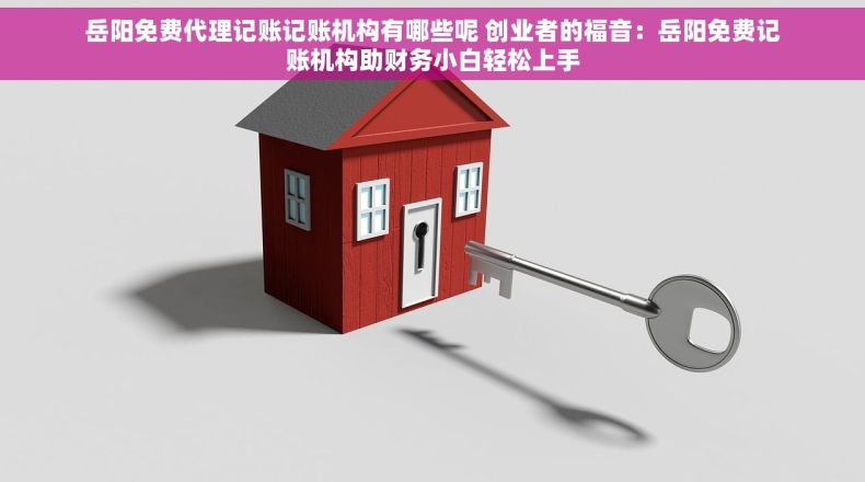 岳阳免费代理记账记账机构有哪些呢 创业者的福音：岳阳免费记账机构助财务小白轻松上手