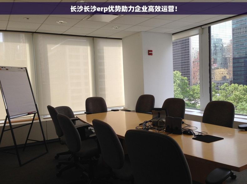 长沙长沙erp优势助力企业高效运营！