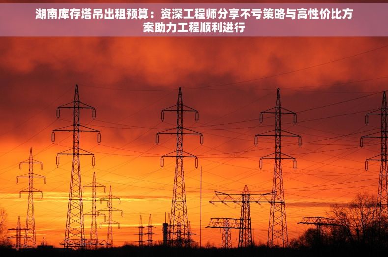 湖南库存塔吊出租预算：资深工程师分享不亏策略与高性价比方案助力工程顺利进行