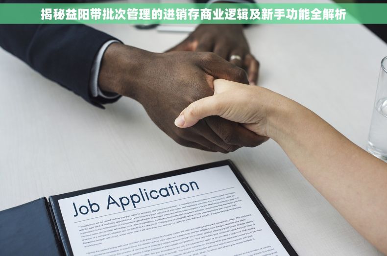 揭秘益阳带批次管理的进销存商业逻辑及新手功能全解析