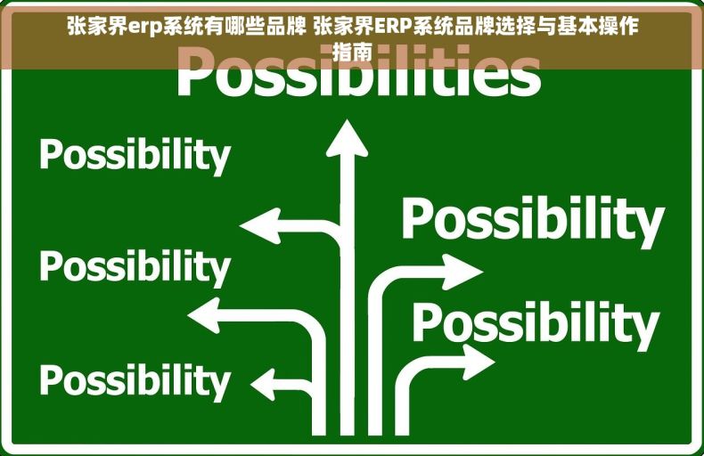 张家界erp系统有哪些品牌 张家界ERP系统品牌选择与基本操作指南