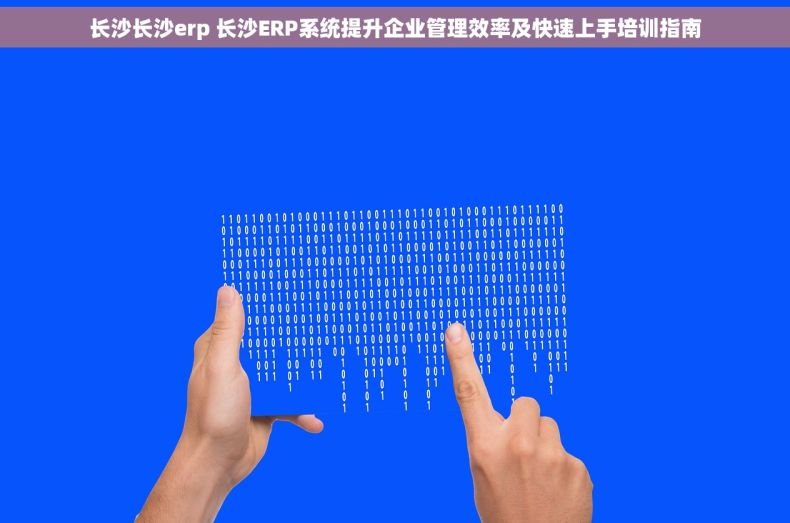 长沙长沙erp 长沙ERP系统提升企业管理效率及快速上手培训指南