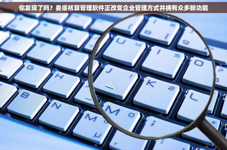 你发现了吗？娄底核算管理软件正改变企业管理方式并拥有众多新功能