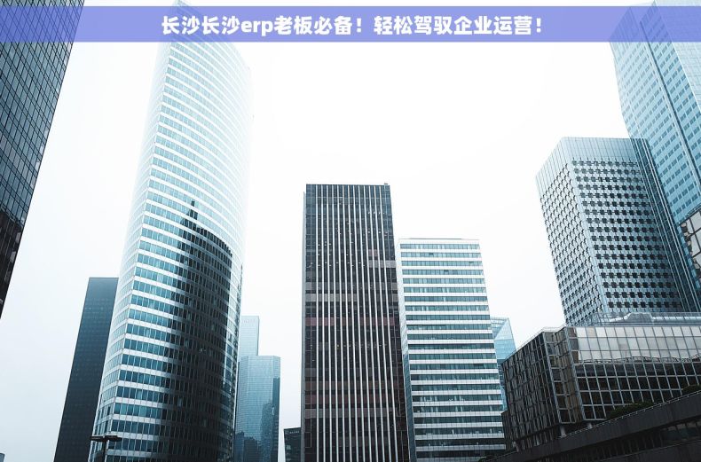长沙长沙erp老板必备！轻松驾驭企业运营！
