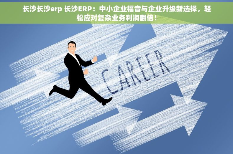长沙长沙erp 长沙ERP：中小企业福音与企业升级新选择，轻松应对复杂业务利润翻倍！