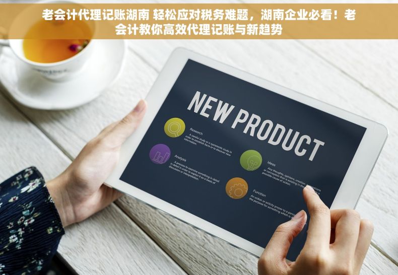 老会计代理记账湖南 轻松应对税务难题，湖南企业必看！老会计教你高效代理记账与新趋势