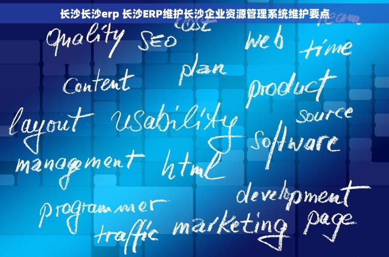 长沙长沙erp 长沙ERP维护长沙企业资源管理系统维护要点