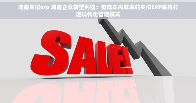 湖南类似erp 湖南企业转型利器：低成本高效率的类似ERP系统打造现代化管理模式