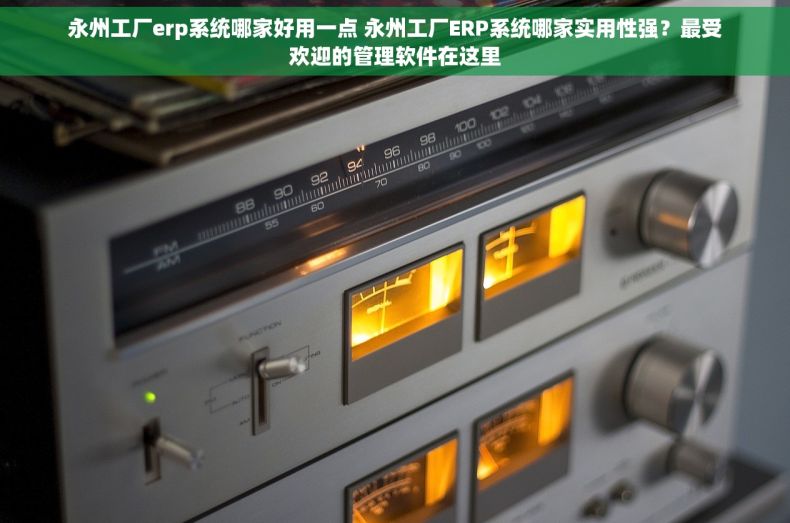 永州工厂erp系统哪家好用一点 永州工厂ERP系统哪家实用性强？最受欢迎的管理软件在这里