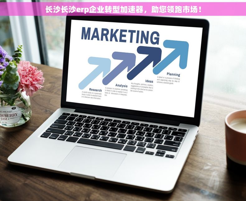 长沙长沙erp企业转型加速器，助您领跑市场！