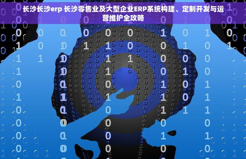 长沙长沙erp 长沙零售业及大型企业ERP系统构建、定制开发与运营维护全攻略