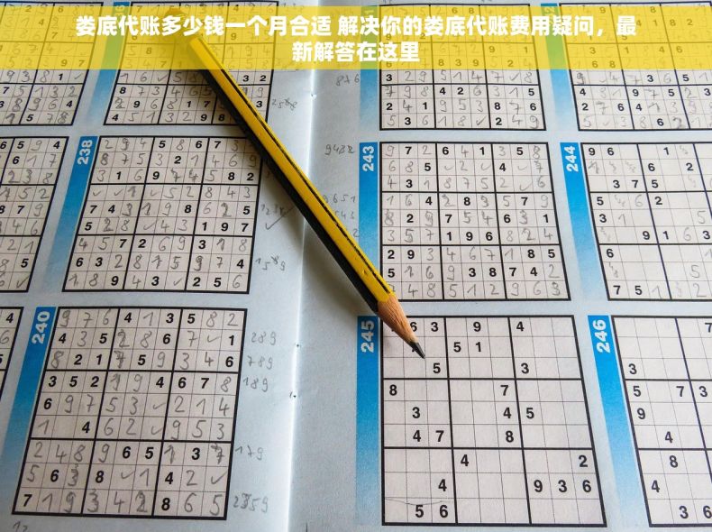 娄底代账多少钱一个月合适 解决你的娄底代账费用疑问，最新解答在这里