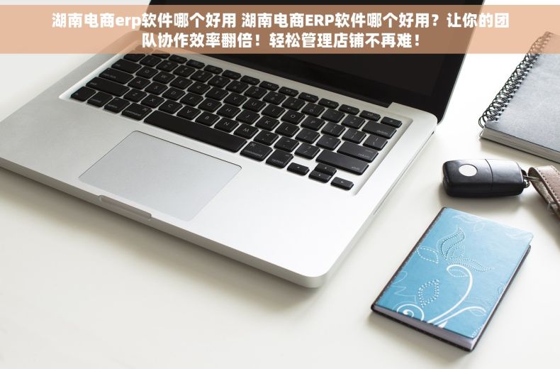 湖南电商erp软件哪个好用 湖南电商ERP软件哪个好用？让你的团队协作效率翻倍！轻松管理店铺不再难！