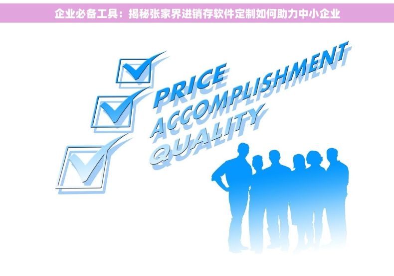企业必备工具：揭秘张家界进销存软件定制如何助力中小企业