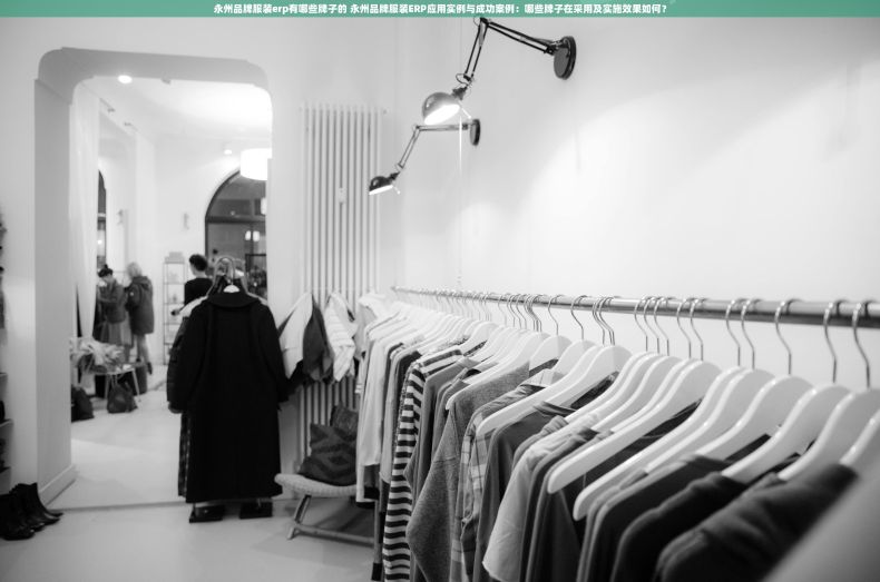 永州品牌服装erp有哪些牌子的 永州品牌服装ERP应用实例与成功案例：哪些牌子在采用及实施效果如何？