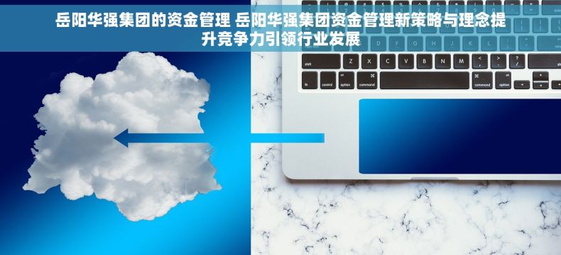 岳阳华强集团的资金管理 岳阳华强集团资金管理新策略与理念提升竞争力引领行业发展