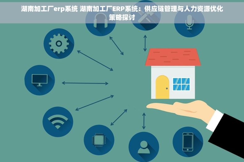 湖南加工厂erp系统 湖南加工厂ERP系统：供应链管理与人力资源优化策略探讨