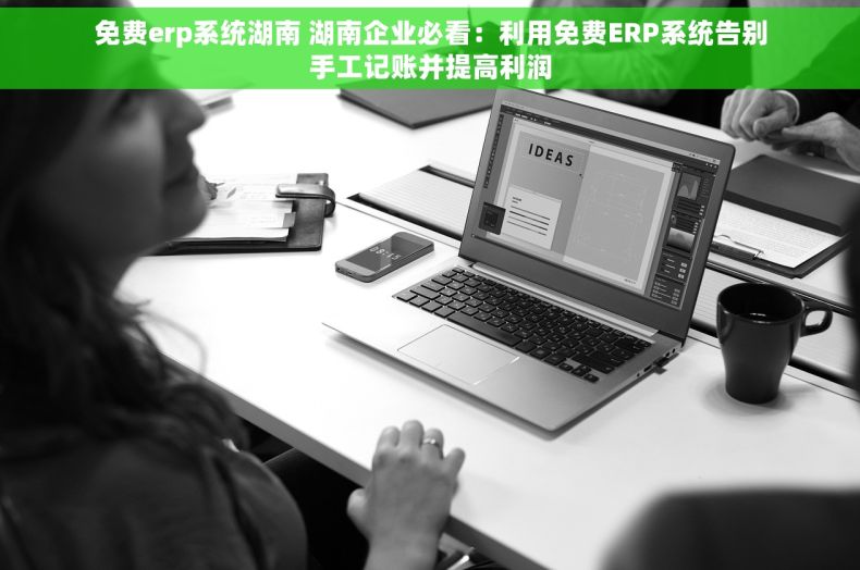 免费erp系统湖南 湖南企业必看：利用免费ERP系统告别手工记账并提高利润