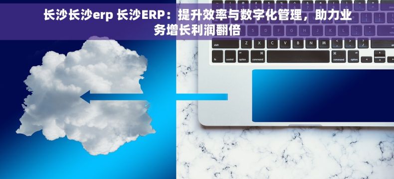 长沙长沙erp 长沙ERP：提升效率与数字化管理，助力业务增长利润翻倍